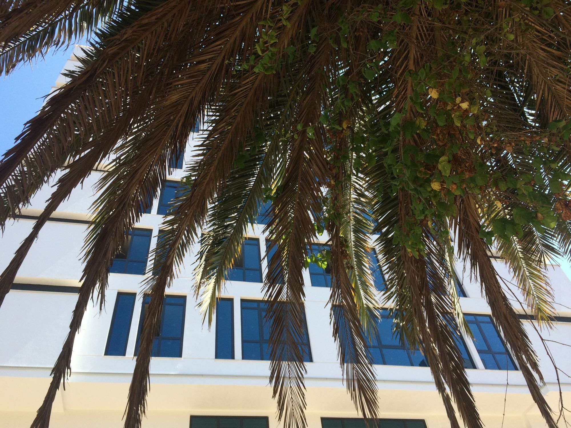 Aselia Hotel Trabzon Ngoại thất bức ảnh